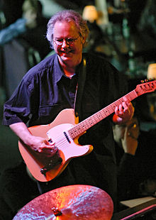 Bill Frisell picture